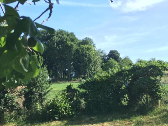 Vakantiewoning Hoge Zavel Brakel Esterno foto