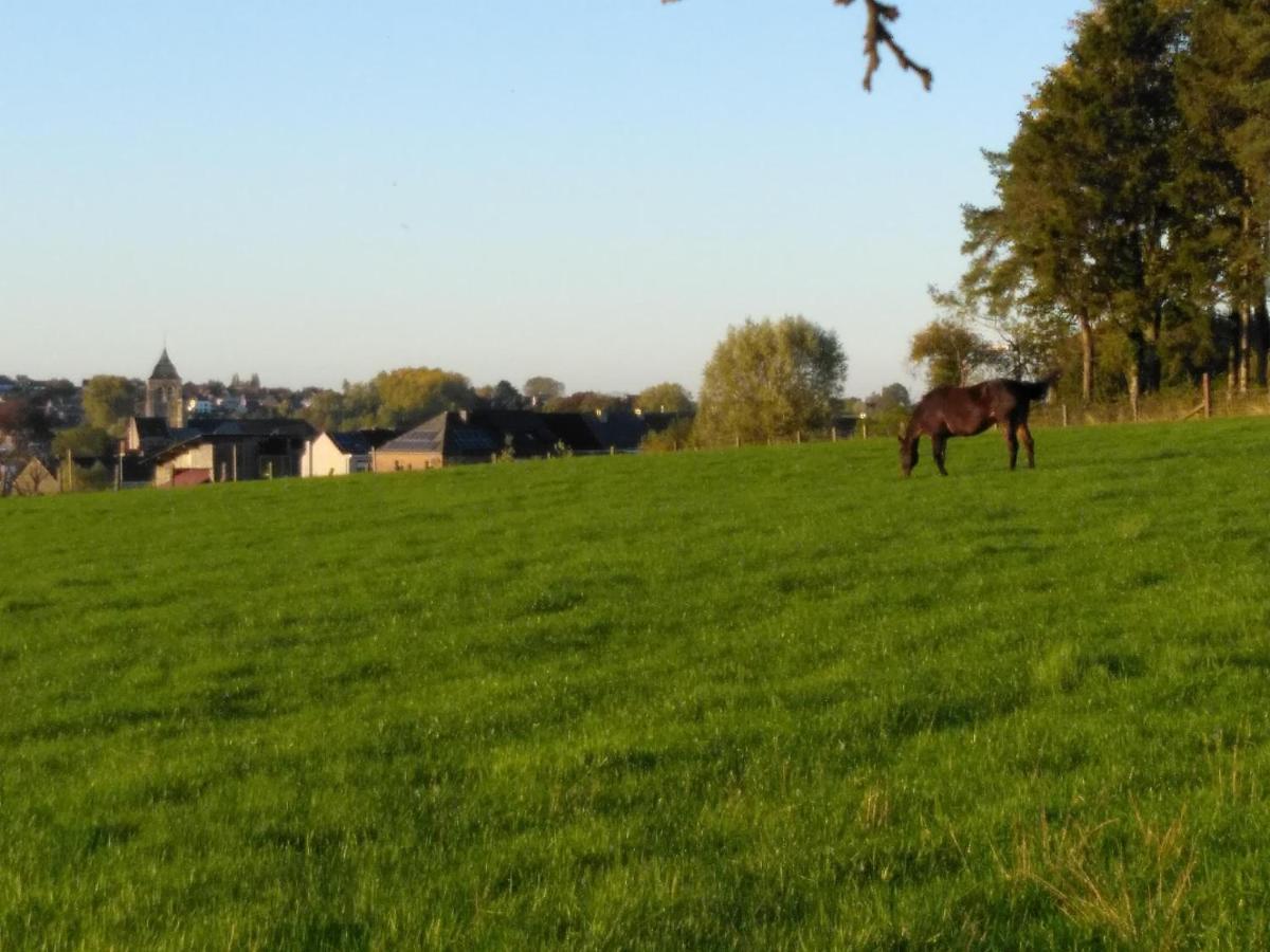 Vakantiewoning Hoge Zavel Brakel Esterno foto